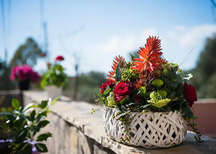 Hébergement de vacances Sofias Argostoli